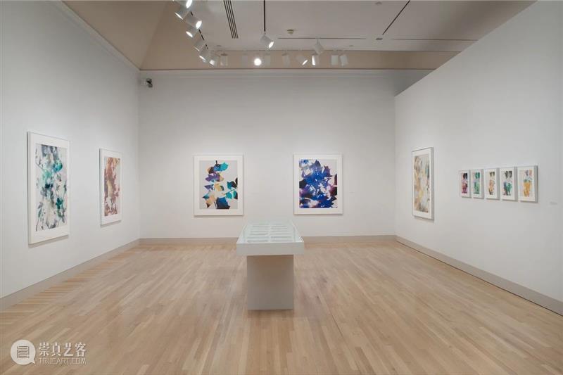 明天开幕｜詹姆斯·威灵（James Welling）纽约个展《思想之物》 崇真艺客