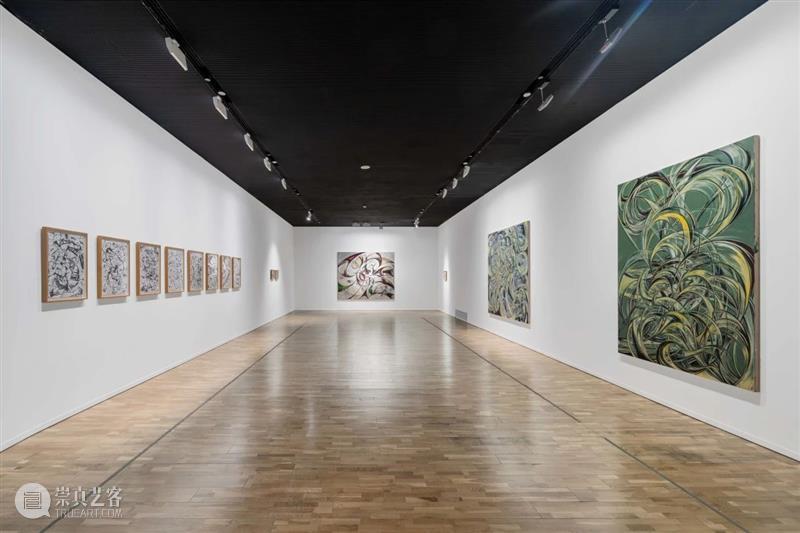 LONG重磅 | 95后艺术家方媛首次美术馆个展开幕，作品回应时代的激烈流变 崇真艺客