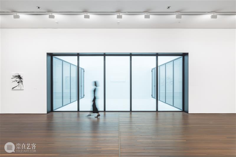 王茜瑶个展“长伸之触”正在北京松美术馆展出 崇真艺客
