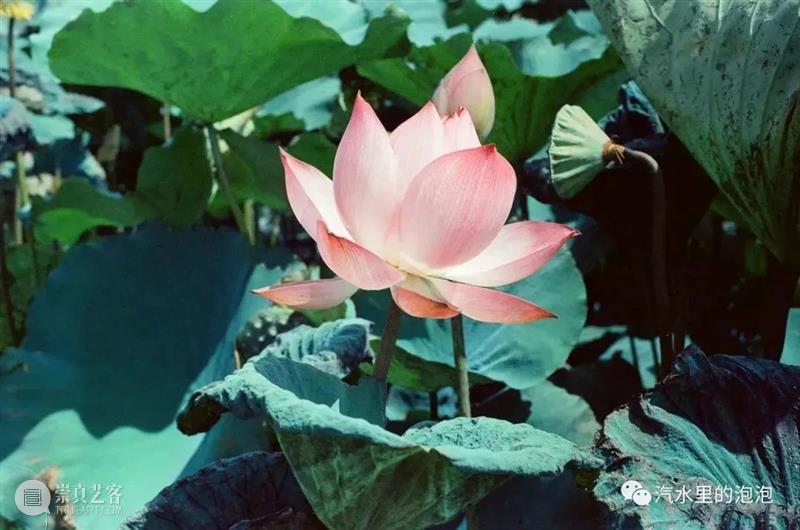 AAEF布艺工作坊｜计文于&朱卫兵个展《布旅》亲子公共项目 崇真艺客