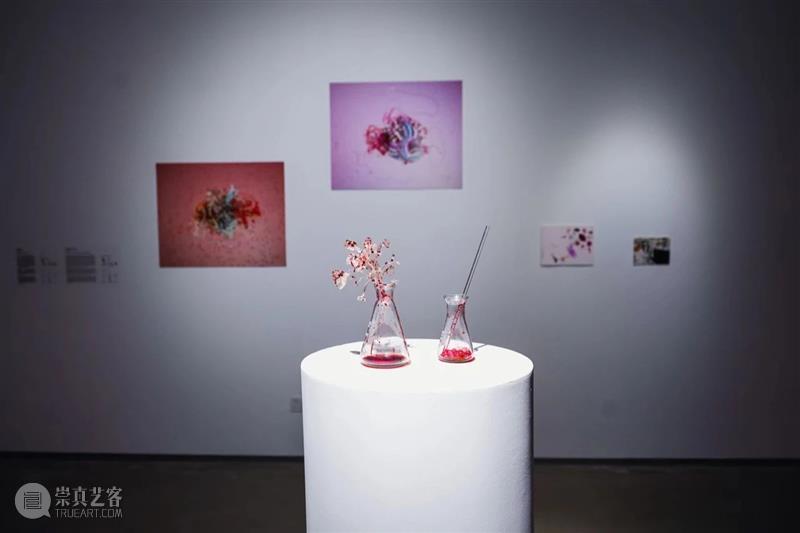 XÙN解读｜“祖细迟滞——李佳宝个展”作品阐释（二）   崇真艺客