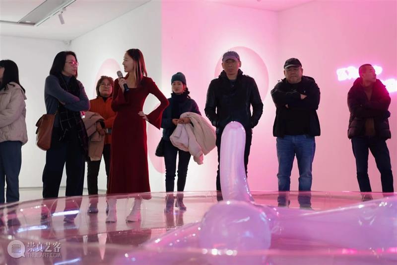 XÙN解读｜“祖细迟滞——李佳宝个展”作品阐释（二）   崇真艺客