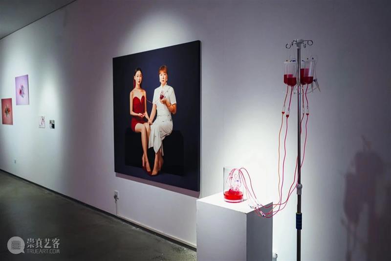 XÙN解读｜“祖细迟滞——李佳宝个展”作品阐释（二）   崇真艺客