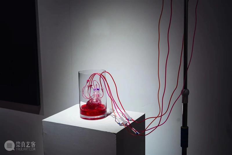XÙN解读｜“祖细迟滞——李佳宝个展”作品阐释（二）   崇真艺客