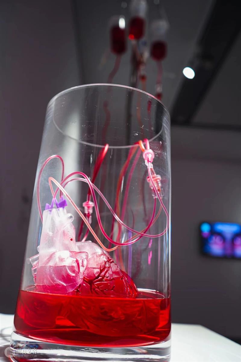 XÙN解读｜“祖细迟滞——李佳宝个展”作品阐释（二）   崇真艺客