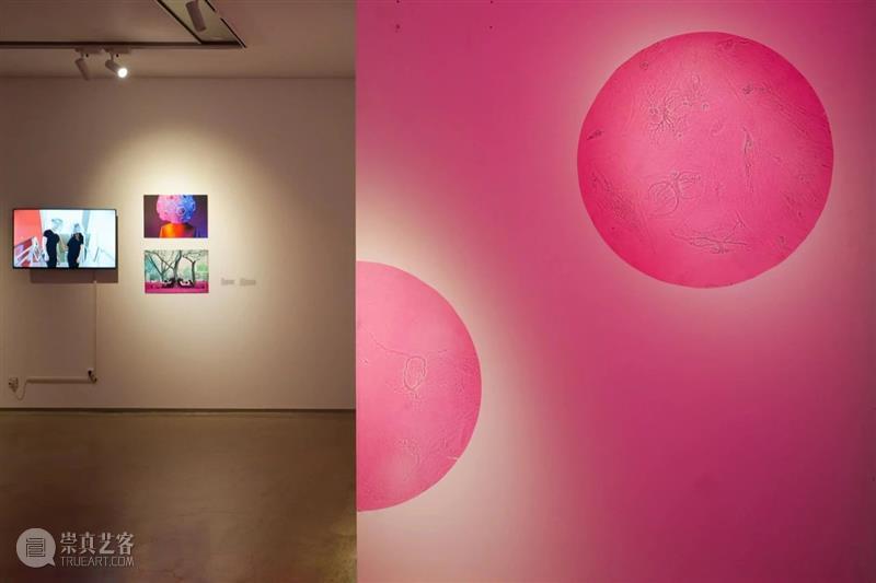 XÙN解读｜“祖细迟滞——李佳宝个展”作品阐释（二）   崇真艺客