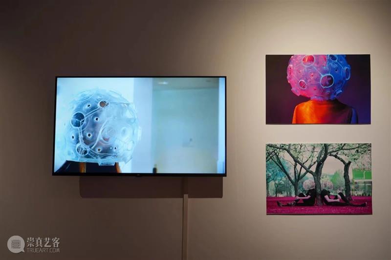 XÙN解读｜“祖细迟滞——李佳宝个展”作品阐释（二）   崇真艺客