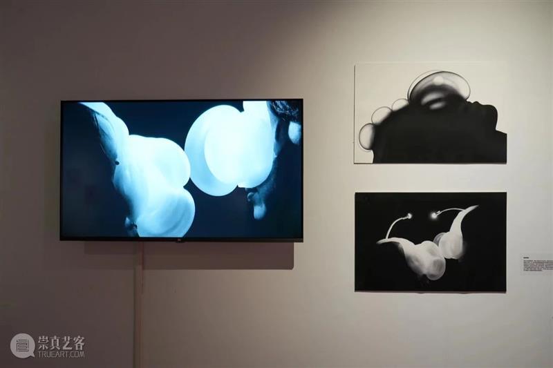 XÙN解读｜“祖细迟滞——李佳宝个展”作品阐释（二）   崇真艺客