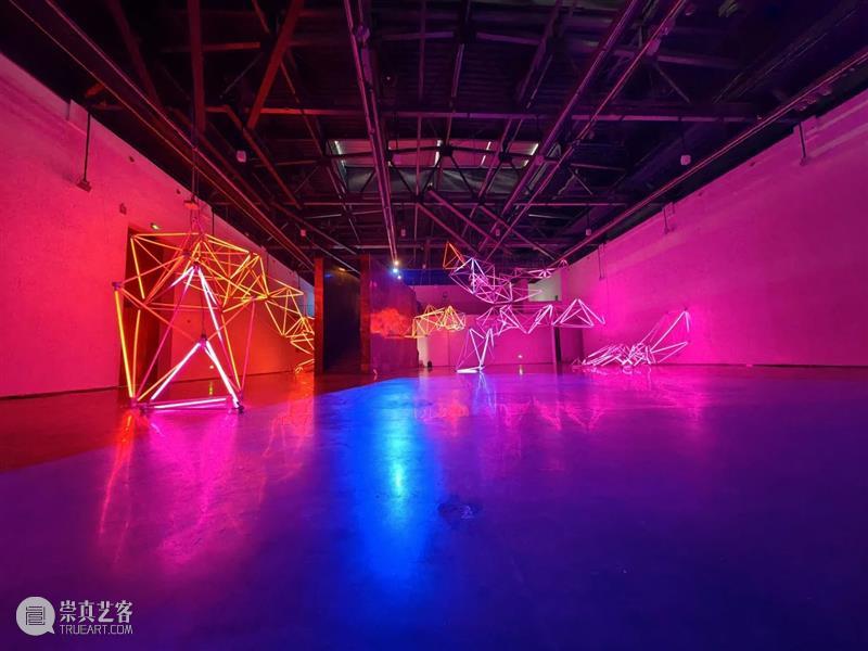 瑞龙贺岁｜飞龙在天，向海而生 崇真艺客