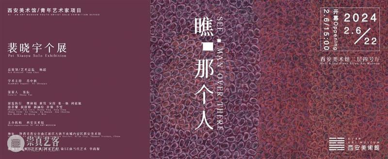 艺术影院放映预告｜《海莲娜：画布人生》 崇真艺客