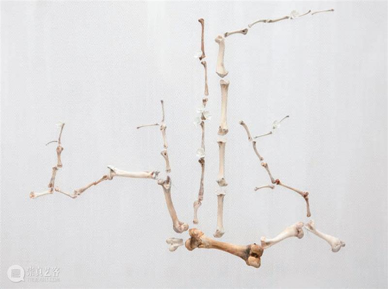 身边艺术 II｜陈小丹 Chen Xiaodan 崇真艺客