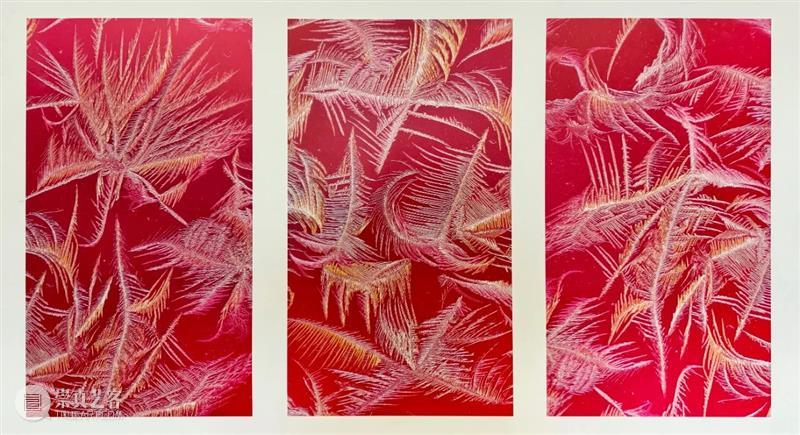 太和预告 | 《梦幻天堂·冰窗花——郭永进高维影像展》开幕式将于2024年2月25日15:00举办 崇真艺客