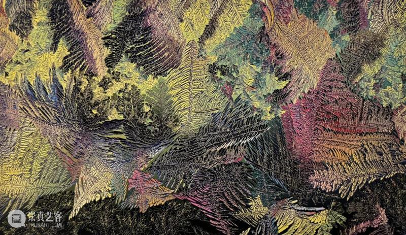 太和预告 | 《梦幻天堂·冰窗花——郭永进高维影像展》开幕式将于2024年2月25日15:00举办 崇真艺客