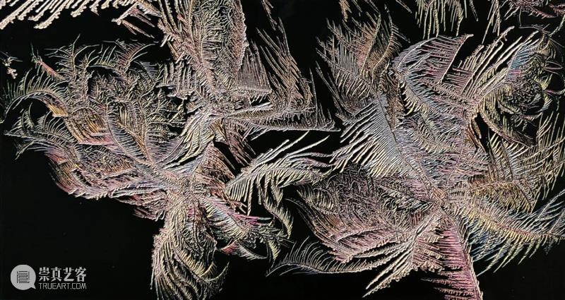 太和预告 | 《梦幻天堂·冰窗花——郭永进高维影像展》开幕式将于2024年2月25日15:00举办 崇真艺客