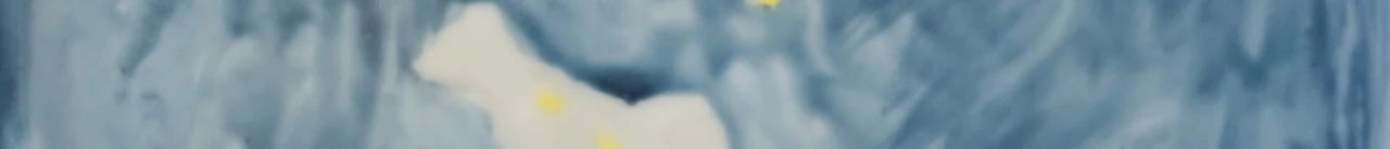 拾萬北京 | 即将展出 | 原良介：岩鱼的星空 视频资讯 拾萬空间 北京 星空 岩鱼 原良介 空间 项目 日本 艺术家 良介 个展 崇真艺客