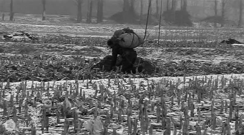 乔治 · 迪迪-于贝尔曼 | 无名者 崇真艺客