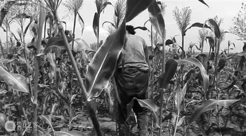 乔治 · 迪迪-于贝尔曼 | 无名者 崇真艺客