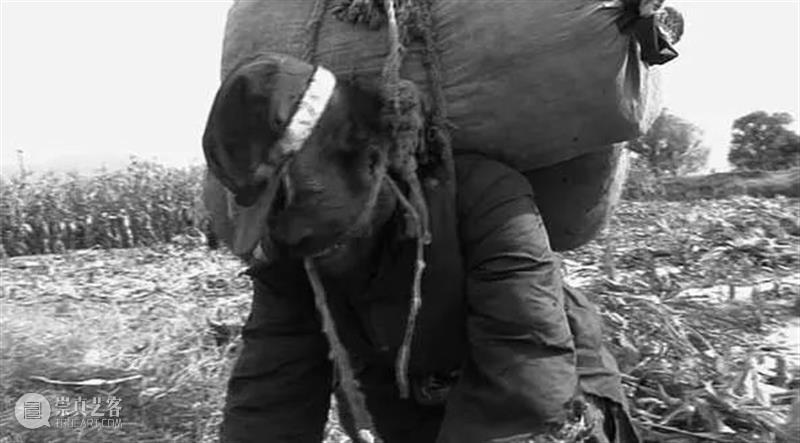 乔治 · 迪迪-于贝尔曼 | 无名者 崇真艺客