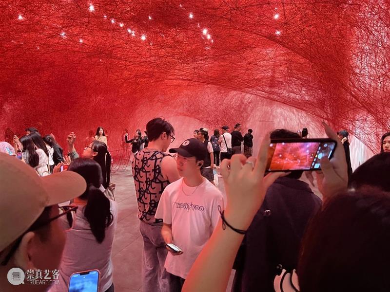 展览回顾|深圳今年最火爆的展览即将撤展,你来过了吗? 崇真艺客