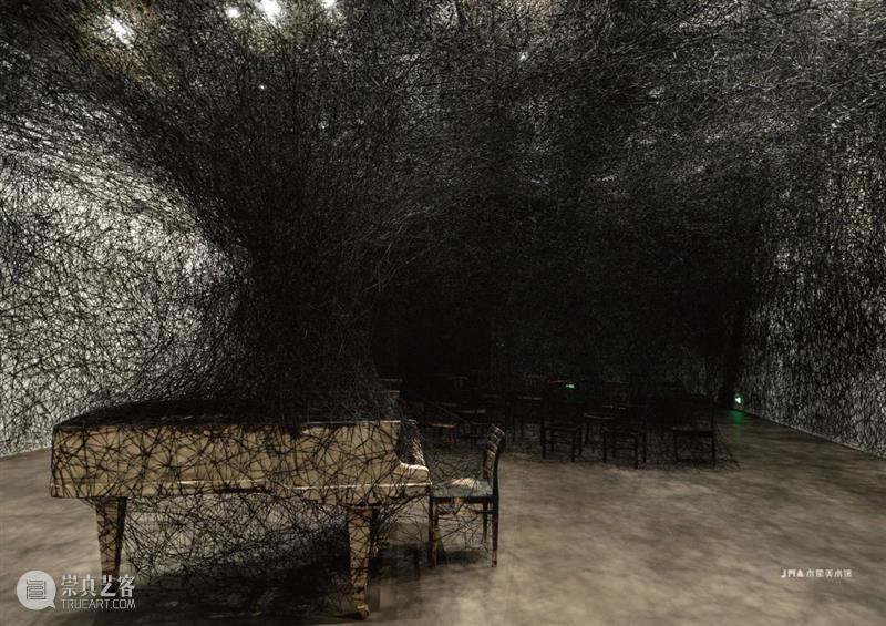 展览回顾|深圳今年最火爆的展览即将撤展,你来过了吗? 崇真艺客
