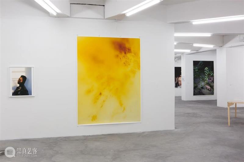 回顾沃尔夫冈·提尔曼斯（Wolfgang Tillmans）重要美术馆个展 崇真艺客