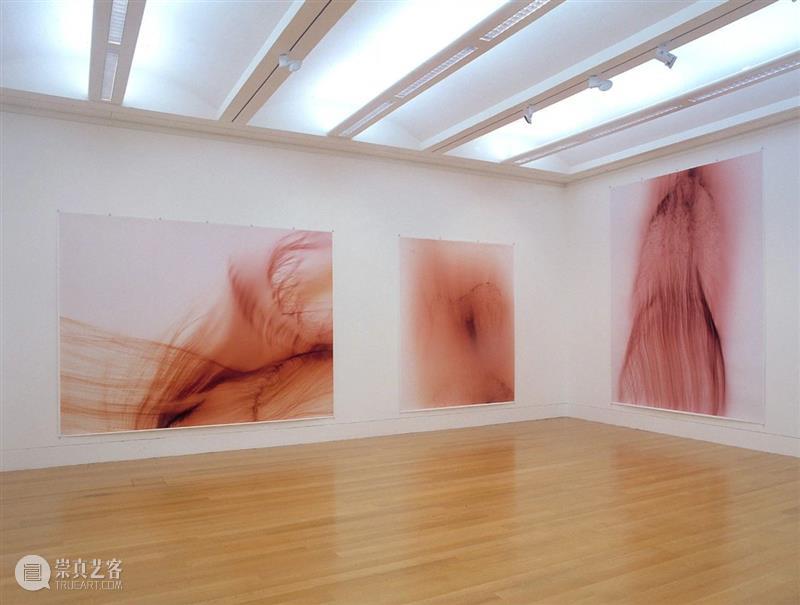 回顾沃尔夫冈·提尔曼斯（Wolfgang Tillmans）重要美术馆个展 崇真艺客