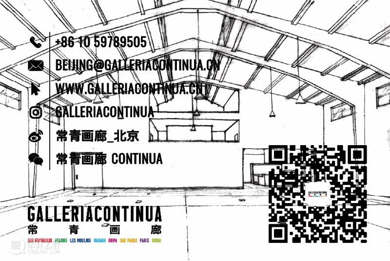 常青北京丨即将呈现意大利艺术家塞尔斯和委内瑞拉艺术家胡安·阿劳约双个展 崇真艺客