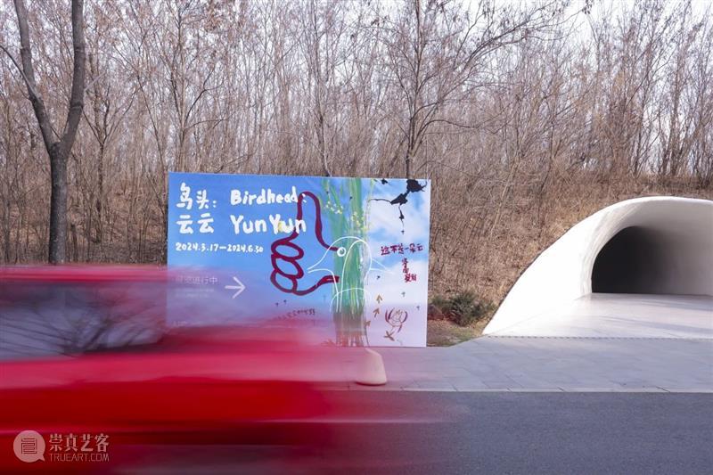 在UCCA沙丘美术馆，探索“鸟头：云云”的现实与虚幻 博文精选  UCCA沙丘美术馆 鸟头 崇真艺客