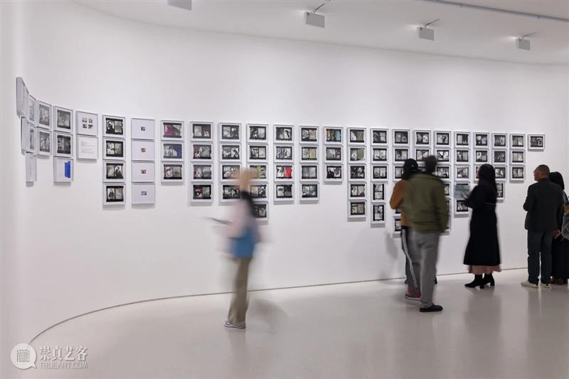 在UCCA沙丘美术馆，探索“鸟头：云云”的现实与虚幻 博文精选  UCCA沙丘美术馆 鸟头 崇真艺客