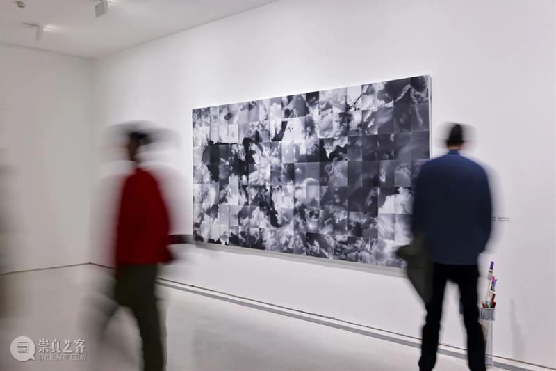 在UCCA沙丘美术馆，探索“鸟头：云云”的现实与虚幻 博文精选  UCCA沙丘美术馆 鸟头 崇真艺客