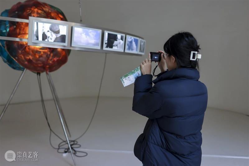 在UCCA沙丘美术馆，探索“鸟头：云云”的现实与虚幻 博文精选  UCCA沙丘美术馆 鸟头 崇真艺客