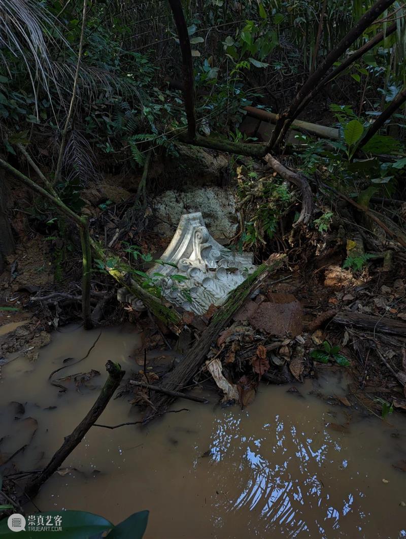 艺术家 | 赵仁辉《见·森林》(Seeing Forest) | 2024年威尼斯双年展新加坡馆 博文精选 ShanghART 崇真艺客