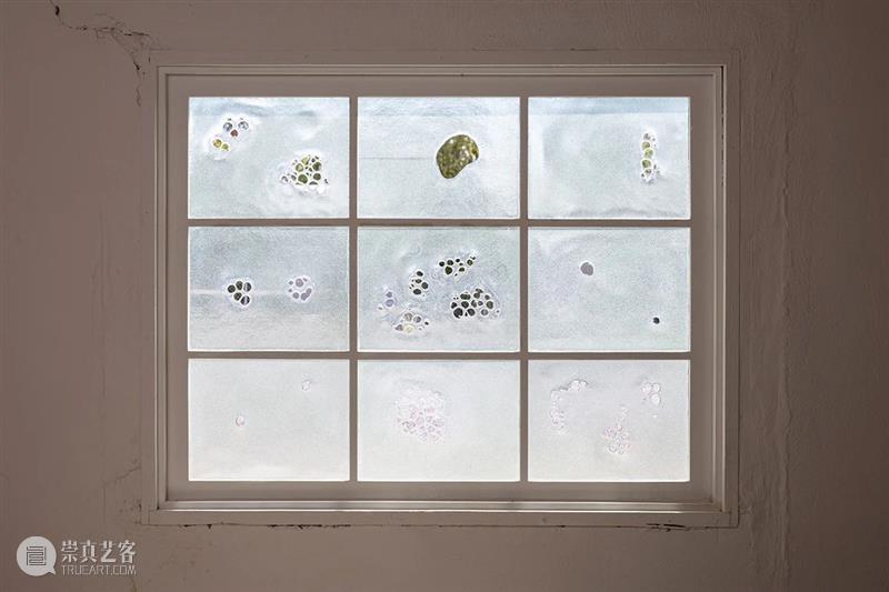 同行/ 寓于建筑中的空间干预 | Kate Newby 视频资讯  Newby 建筑 空间 同行 奥克兰 新西兰 美国德克萨斯州 生活 工作 周围 崇真艺客