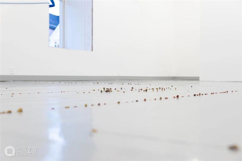 同行/ 寓于建筑中的空间干预 | Kate Newby 视频资讯  Newby 建筑 空间 同行 奥克兰 新西兰 美国德克萨斯州 生活 工作 周围 崇真艺客
