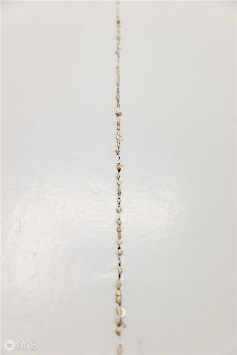 同行/ 寓于建筑中的空间干预 | Kate Newby 视频资讯  Newby 建筑 空间 同行 奥克兰 新西兰 美国德克萨斯州 生活 工作 周围 崇真艺客