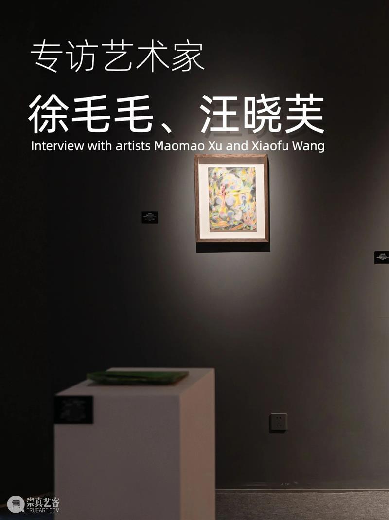 RONG专访｜艺术家：徐毛毛、汪晓芙 视频资讯 RONG Gallery 崇真艺客