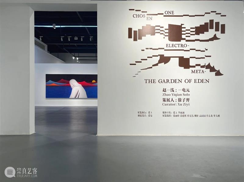 势象策展 | “赵一浅：一电元”前言&展览现场 崇真艺客