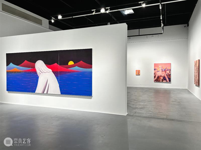 势象策展 | “赵一浅：一电元”前言&展览现场 崇真艺客