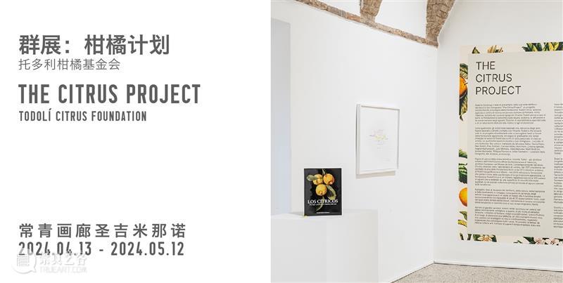 特别项目｜常青画廊艺术家威尼斯双年展项目地图 崇真艺客