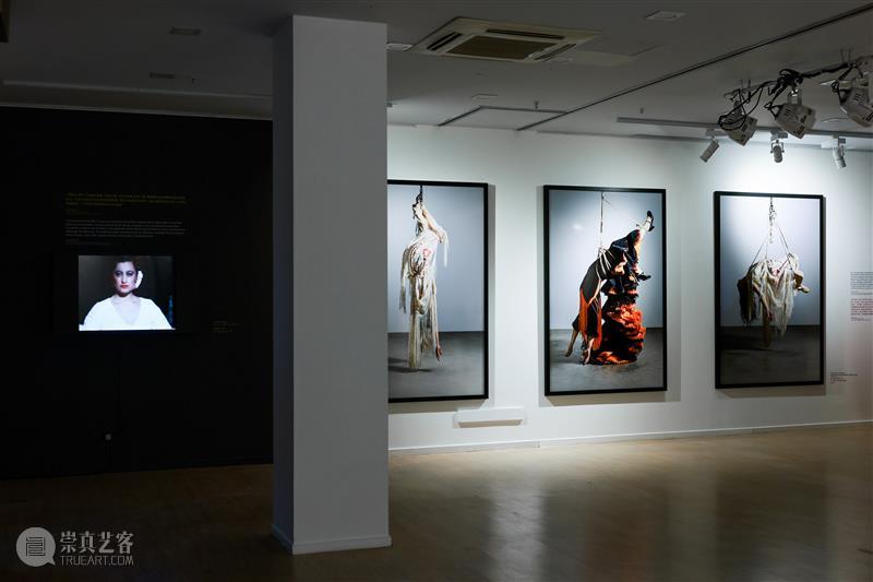 塞万提斯图书馆新展“条框之外”提供观察西班牙社会与文化的多维视角 热点聚焦  塞万提斯图书馆 皮拉尔·阿尔瓦拉辛（Pilar Albarracín） 马秋莎 崇真艺客