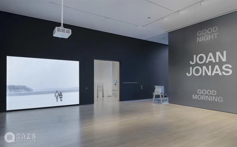 纽约时报 | 琼·乔纳斯：最扑朔迷离的美国艺术家 崇真艺客