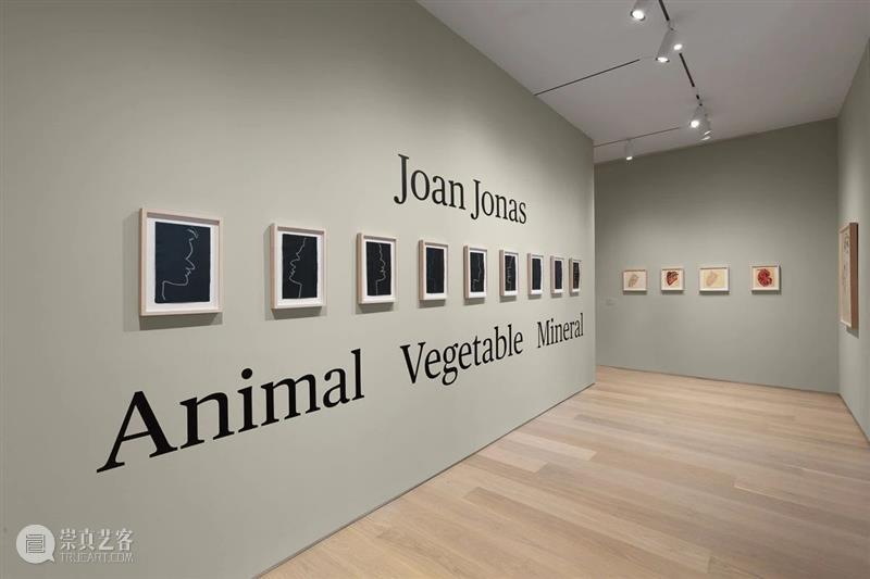 纽约时报 | 琼·乔纳斯：最扑朔迷离的美国艺术家 崇真艺客