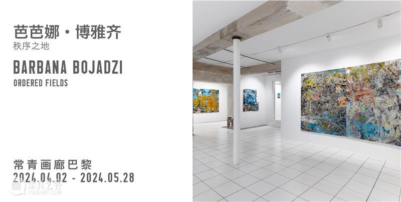 常青巴黎｜正在呈现新代理艺术家芭芭娜·博雅齐个展“秩序之地” 崇真艺客