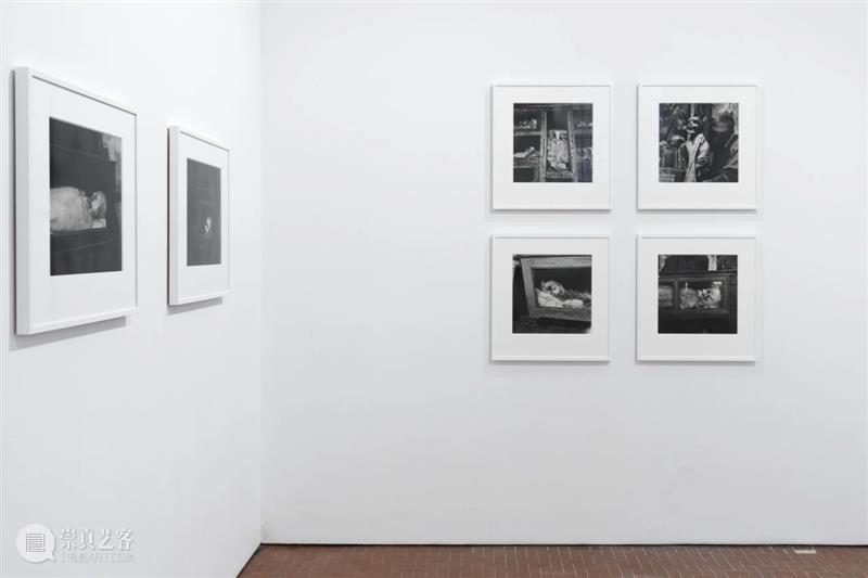 威尼斯现场｜彼得·胡加尔 Peter Hujar 传奇作品「生与死的肖像」首次完整亮相欧洲 崇真艺客