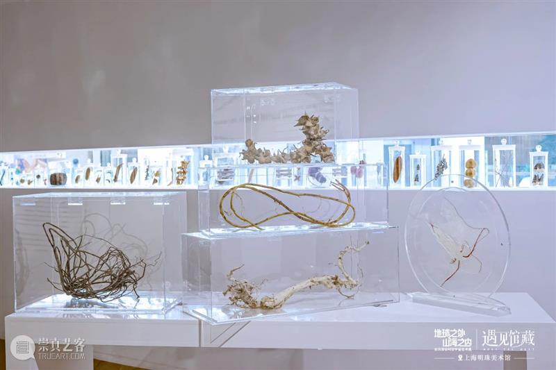 《地球之外·山海之内》展览在上海明珠美术馆展出 崇真艺客