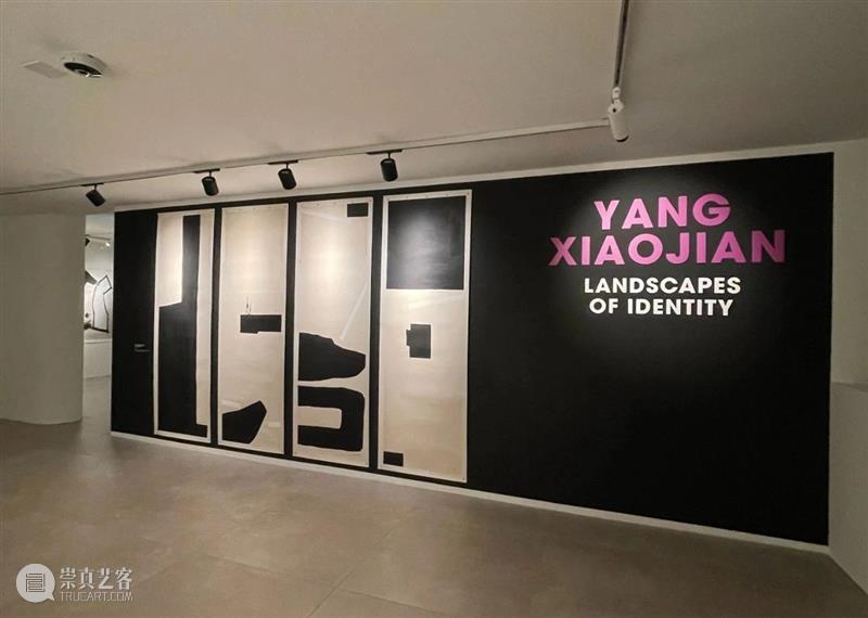 COSPACE | 瑞士卢加诺文化博物馆 杨小健个展《景观的身份》 崇真艺客