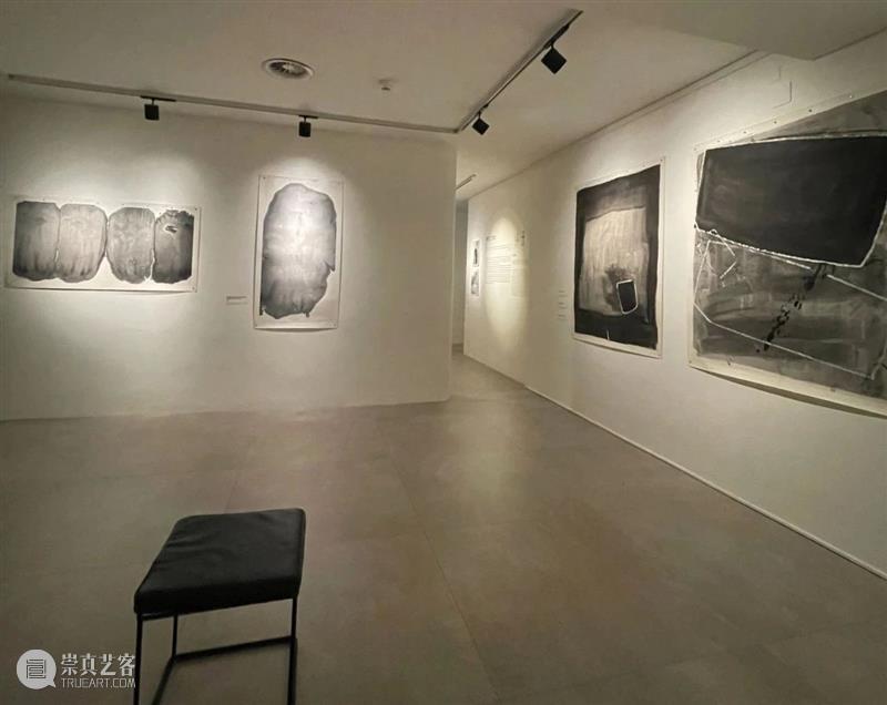 COSPACE | 瑞士卢加诺文化博物馆 杨小健个展《景观的身份》 崇真艺客