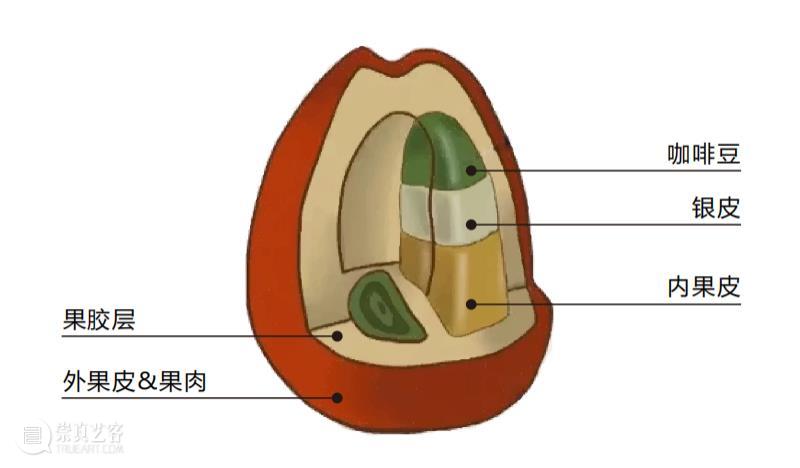 活动回顾|咖啡沙龙·小团圆 崇真艺客