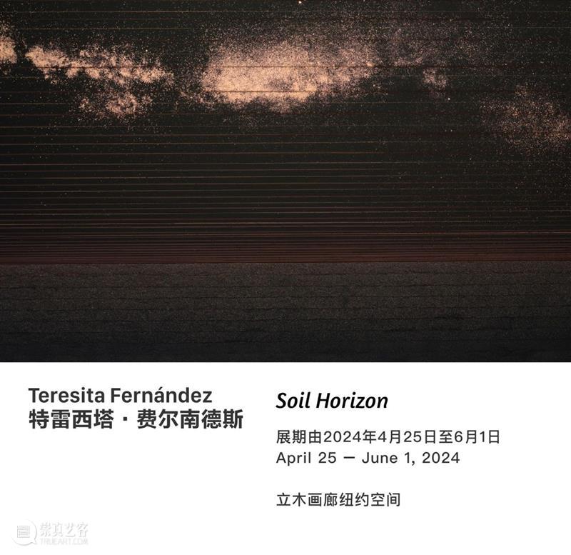 立木首尔 | 亚莉克丝·普拉格尔个展《西方力学》：在现实和虚构之间，重新审视人类的生存境况 崇真艺客