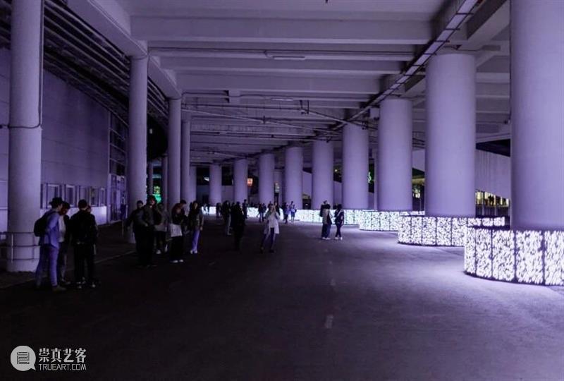 2024年5月全球新媒体艺术盘点 崇真艺客